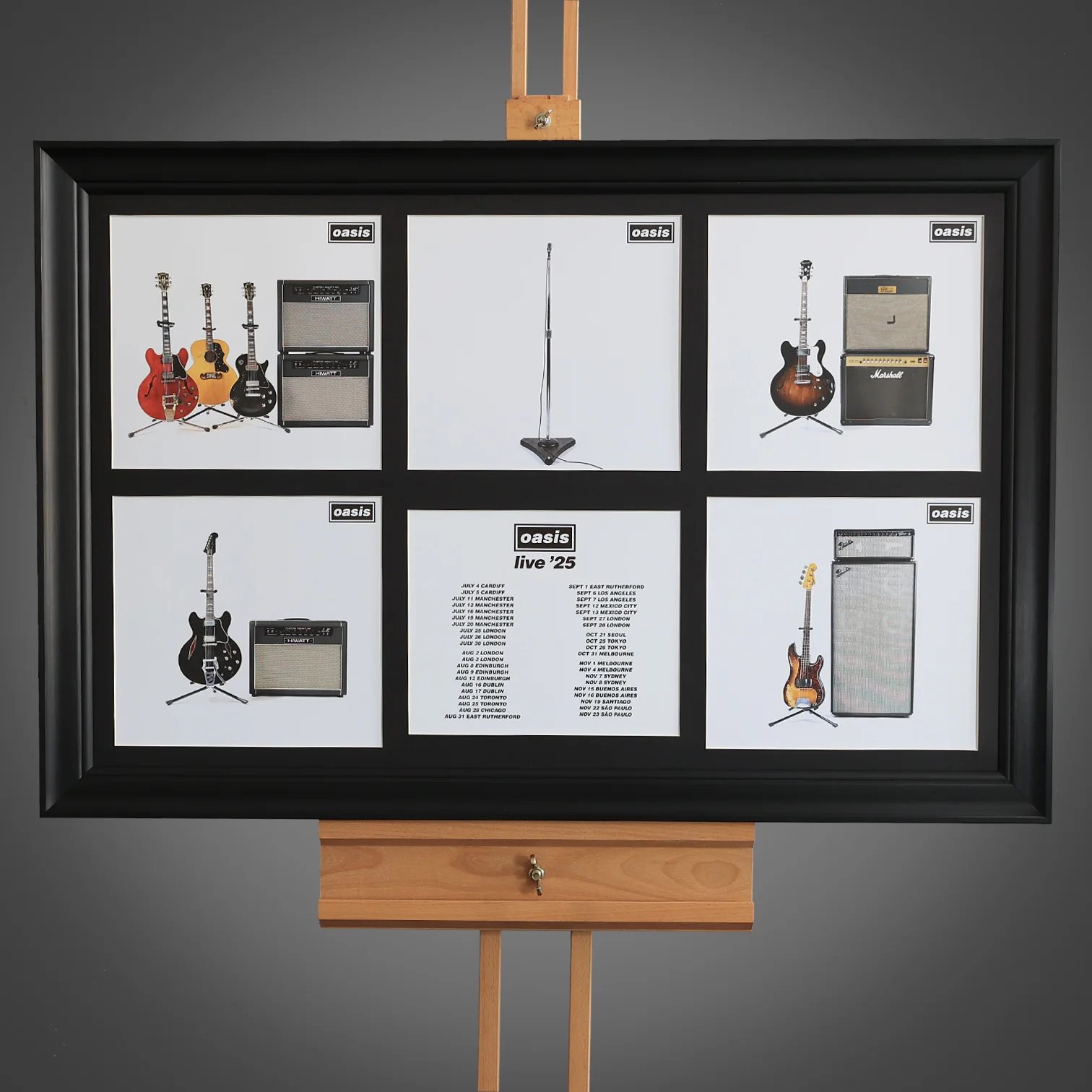 Oasis - Live Equipment - Large Framed Piece - New Item
