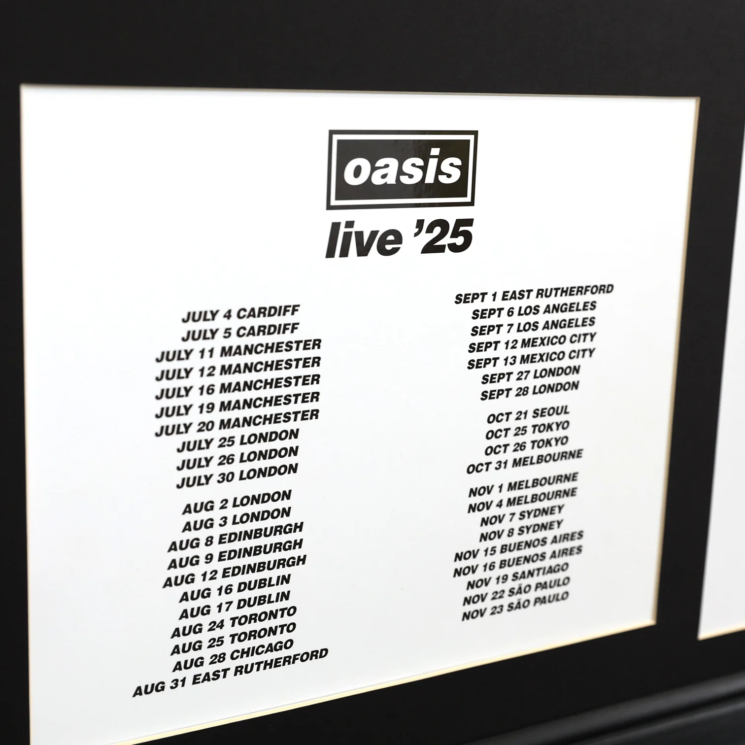 Oasis - Live Equipment - Large Framed Piece - New Item - Image 8